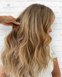 bronde hair dark blonde highlights tampa